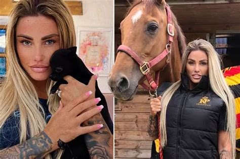 katie price tiere|Katies Prices tragic history with pets after series of fatal ...